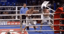 Knocked Out GIF - Knocked Out Stupid GIFs