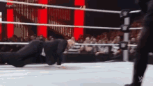 Cesaro Deal GIF - Cesaro Deal With GIFs
