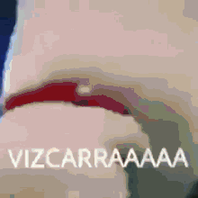 Vizcarraaaaa GIF - Vizcarraaaaa GIFs