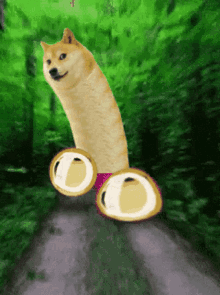 Dildoge Dogecoin GIF - Dildoge Dogecoin Doge GIFs