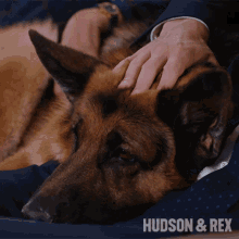 Petting My Dog Rex GIF - Petting My Dog Rex Diesel Vom Burgimwald GIFs