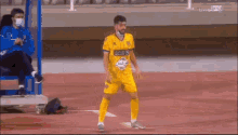a soccer player wearing a yellow jersey with the number 8 on it is standing on the field .
