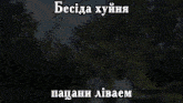 a group of people are standing in front of trees with a caption in russian