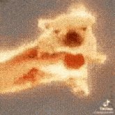 Fire Puppy Puppy Fire Effects GIF - Fire Puppy Puppy Fire Effects Tiktok Low Quality Vid GIFs
