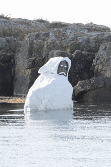 a statue of a man with a hood is floating in the water