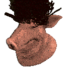a close up of a pig 's head with a wig on