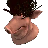 a close up of a pig 's head with a wig on