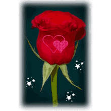 Rose Flower GIF - Rose Flower Star GIFs