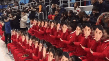 啦啦隊 北韓 戴面具 紅衣 加油 搞笑 GIF