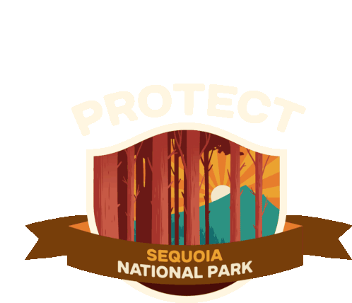 Protect More Parks Camping Sticker