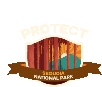 Protect More Parks Camping Sticker - Protect More Parks Camping Protect Sequoia National Park Stickers