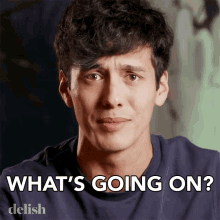whats going on nicholas delish whats happening how is it going