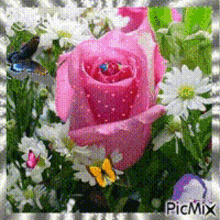 Pink Rose Rose GIF - Pink Rose Rose Flowers GIFs