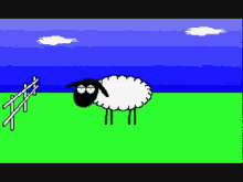 Sheep Windows GIF - Sheep Windows Media GIFs