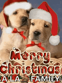Merry Christmas Dog GIF - Merry Christmas Dog Pup GIFs