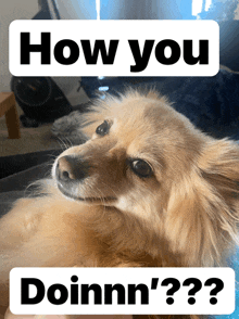 How You Doin GIF - How You Doin GIFs