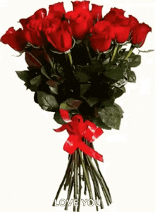 a bouquet of red roses with a red ribbon and the words `` love you '' on a white background .