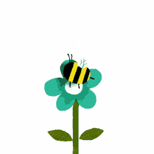 bees flower