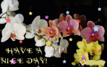 Have A Nice Day GIF