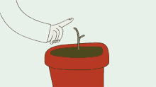 Growing Plant Animation GIFs | Tenor