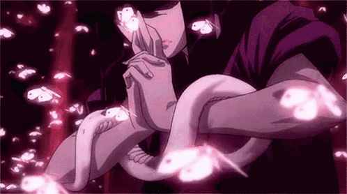 Basilisk バジリスク〜甲賀忍法帖 漫画 GIF - Basilisk Kouga