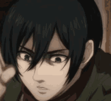 Attack On Titan Mikasa GIF - Attack On Titan Mikasa Shocked GIFs