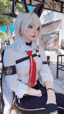 a woman in a fancy dress costume with the name zani chan on the bottom