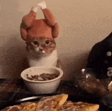 a cat wearing a turkey hat is sitting next to a bowl of food on a table .