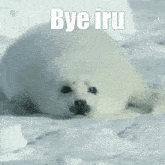 Bye Iru GIF - Bye Iru GIFs