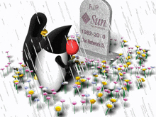 two penguins are standing in front of a grave that says rip sun