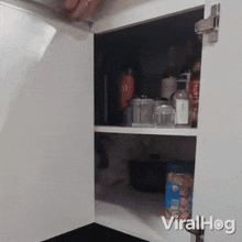 Dog Hides In The Cupboard Viralhog GIF - Dog Hides In The Cupboard Dog Viralhog GIFs