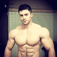 a shirtless man stands in front of a mirror