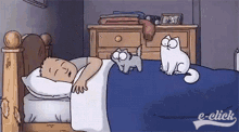 funny cats funny eclick wake up
