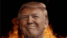 Trump Donald GIF - Trump Donald Youre GIFs