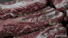 a close up of a piece of meat with the words made in animatica written on the bottom
