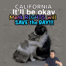 a picture of two cats hugging with the caption california it 'll be okay men 's rights will save the day !!!