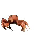 Crab Dancing Sticker