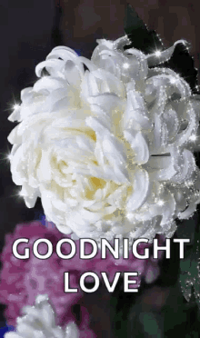 Goodnight Love Sparkles GIF - Goodnight Love Sparkles Flowers GIFs