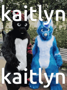 Kaitlyn Furry GIF