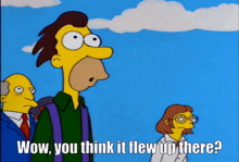 The Simpsons Lisa The Skeptic GIF - The Simpsons Lisa The Skeptic Lenny GIFs