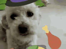 Dogs Hungry GIF