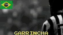 Garrincha Brazil GIF