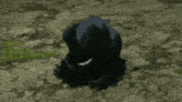 a black object is laying on the ground and has a white face on it