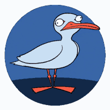 bird animation handdrawn meeuw seagull