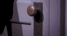 a door with a brass door knob on it