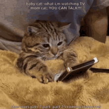 Baby Cat Mom Cat GIF - Baby Cat Mom Cat Claw Wars Part7 GIFs