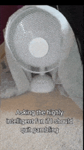 a white fan is covered in a white blanket with the caption asking the highly intelligent fan if i should quit gambling