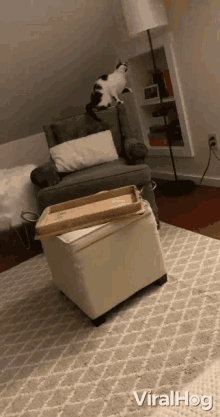 a cat is sitting on a chair in a living room with the words viralhog written on the bottom