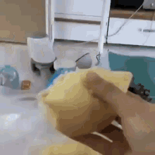 Cat Smell GIF - Cat Smell Durian GIFs