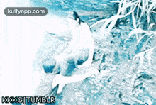 a blurry picture of a man and a woman in the water with the words kkkg tumblr on the bottom right